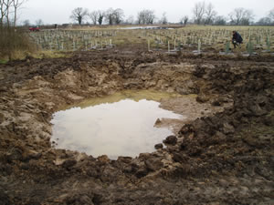 top pond